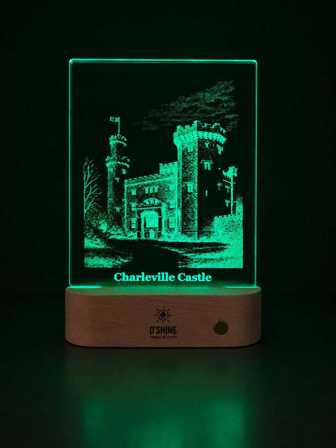 Charleville Castle LED ART Light